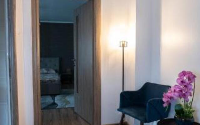 Garsoniera De Lux Si Eleganta Drumul Taberei