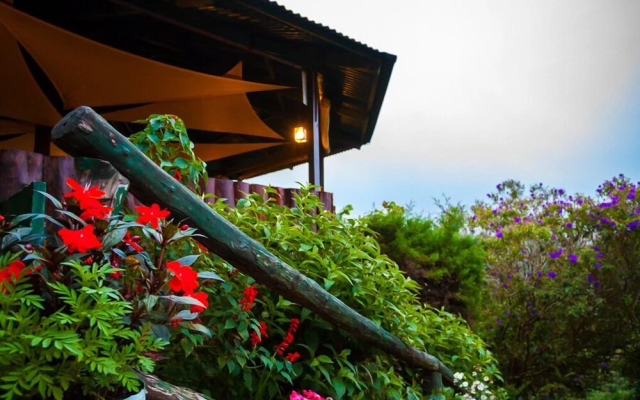 Paso Del Alaska Resort