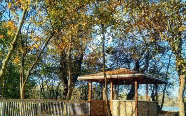 Творческий глэмпинг Скворечник