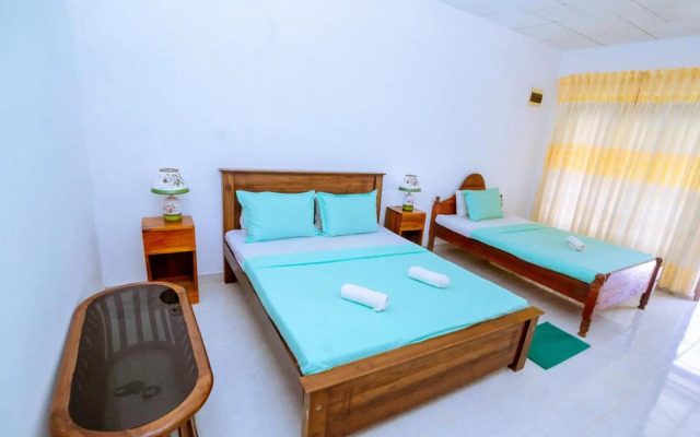 Rainforest River Edge