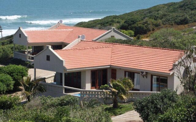 Go Wild Resort