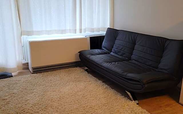 Ryan Apartament mit Netflix