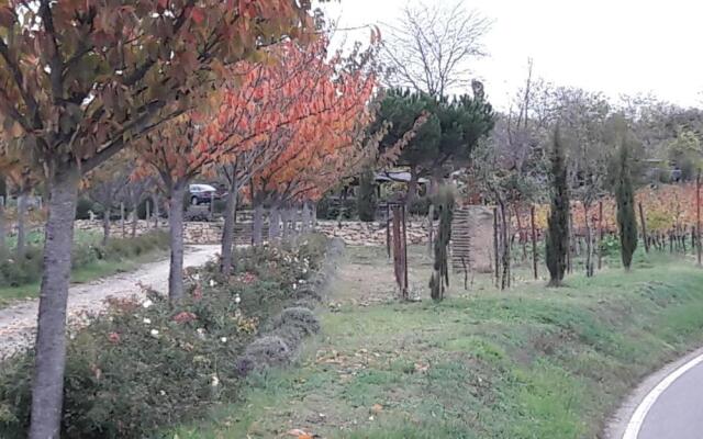 Ferienwohnung Zum Weinberg