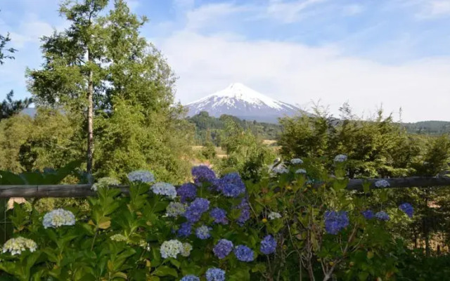 Bordelago, Pucon