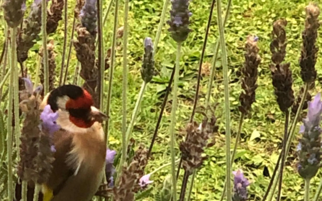 @Taradise-Opunake - eco-friendly Coastal hideaway