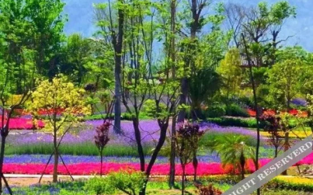 Xichang of Sichuan Purple Neem Inn