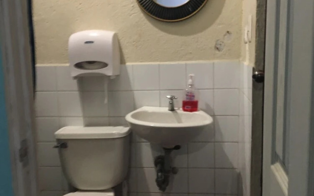 Greenhouse Hostel