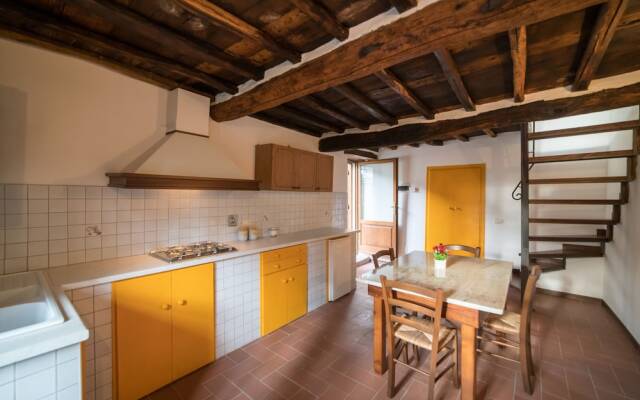 Fattoria di Cintoia