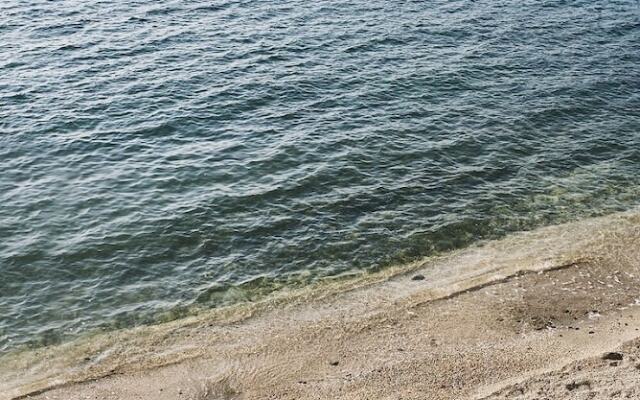 Ada Dreams / Island