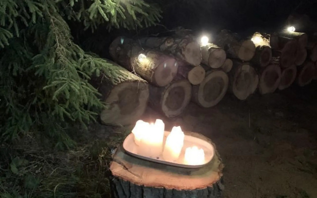 ShelestGlamp (Шелест)