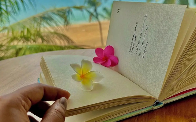 Santa Maria - A Premium Boutique Homestay by the Sea