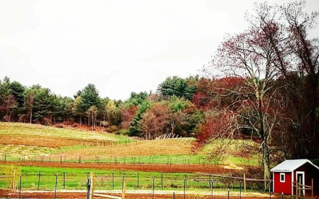 Tentrr - Black Rabbit Farm