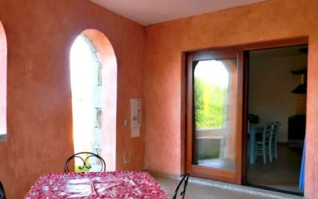 Asfodeli di Marinella