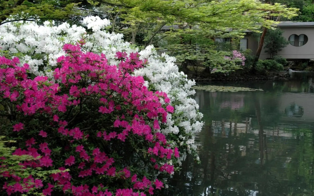 Tatsunokuchi Onsen Matsusaki