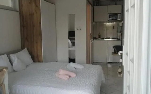 Apartment Roska