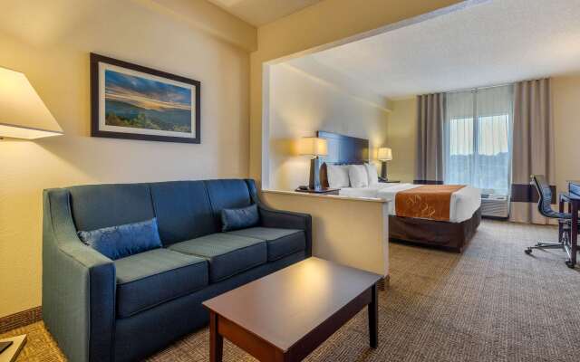 Comfort Suites Gastonia - Charlotte