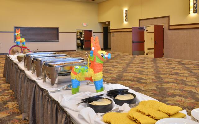 Holiday Inn Stevens Point - Convention Ctr by IHG