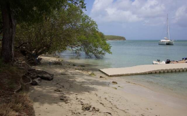 Studio Choupette domaine de L'Anse Caritan Residence Mahogany