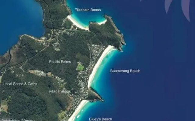 Picture perfect Lizzie Palms 2