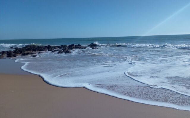 Paradialaw