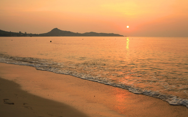 The Hive Hotel Samui
