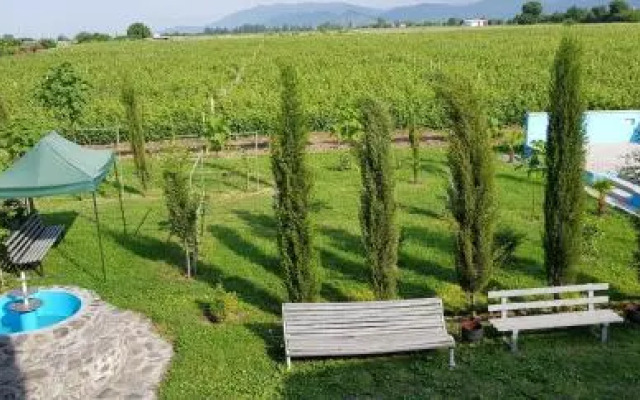 Shaloshvili's Cellar Hotel