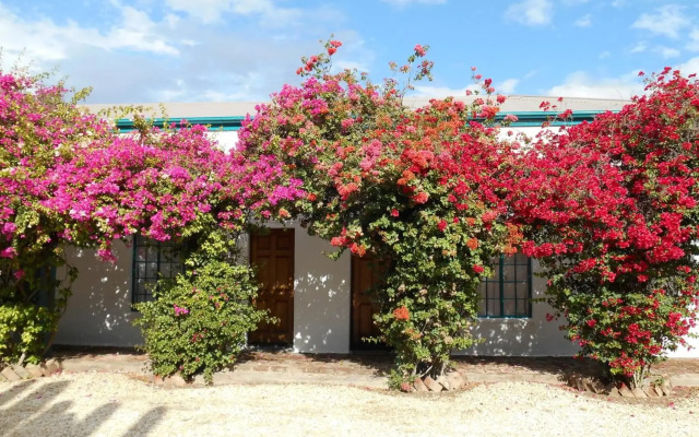 Obesa Lodge