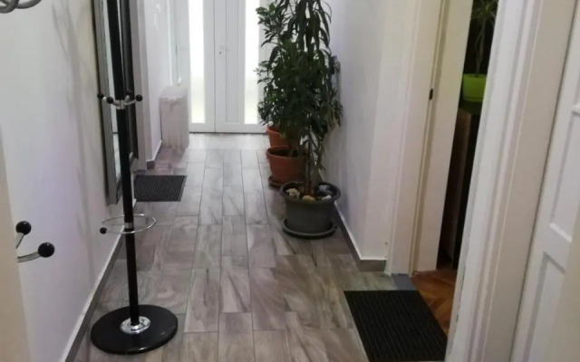 Örökzöld Apartman Szeged