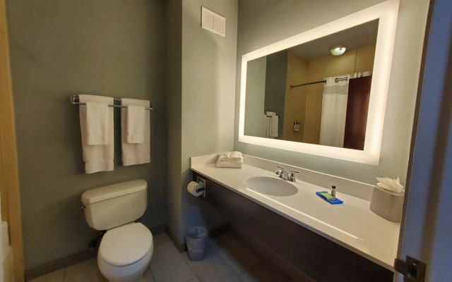 Holiday Inn Express Hotel & Suites Pearland by IHG
