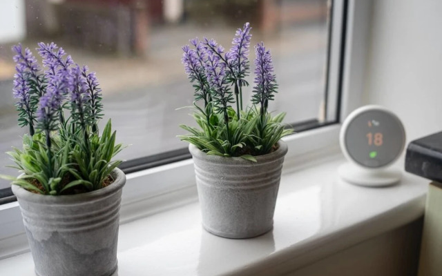 Quiet Residential Apt N/gloucester Road Sleeps 4