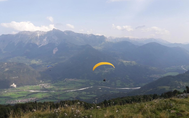 Apartment Honey Bee with Sauna