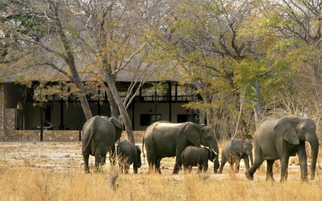 Gwango Elephant Lodge