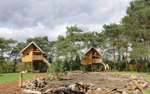 Modern Chalet Near De Veluwe National Park
