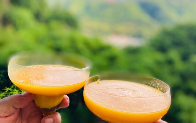 Green Fig Resort & Spa