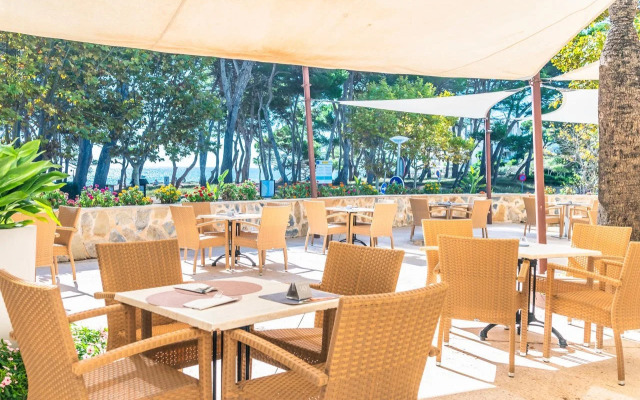 Canyamel Park Hotel & Spa - Adults Only