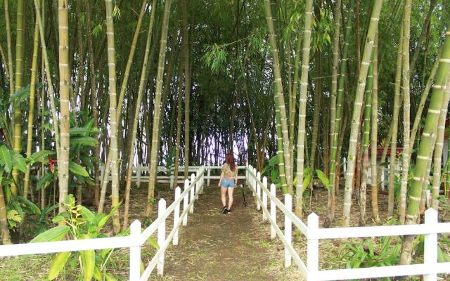 Hotel Bamboo Boutique