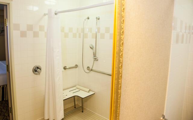 Holiday Inn & Suites Chicago - Downtown by IHG