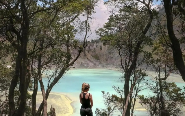 Buton Backpaker Lodge - Hostel