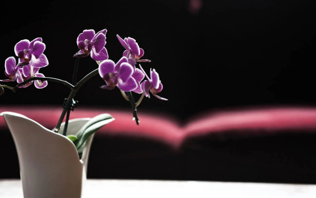 Victor's Residenz-Hotel Leipzig