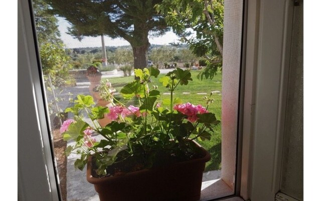 B&B Trulli Dal Conte