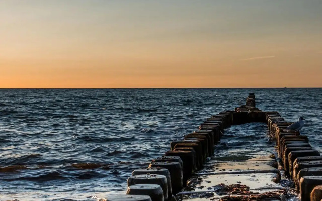 Seahorse Modern Retreat