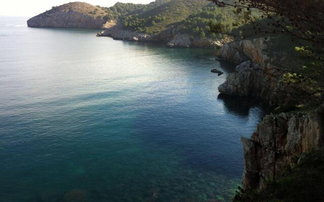 Can Miquel