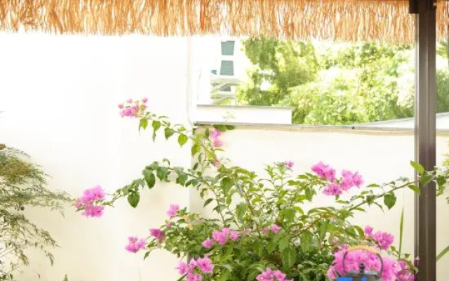 Xishi Ruyuan Homestay (Baoyu Pagoda, Wuyuan) – Outside – Shangrao