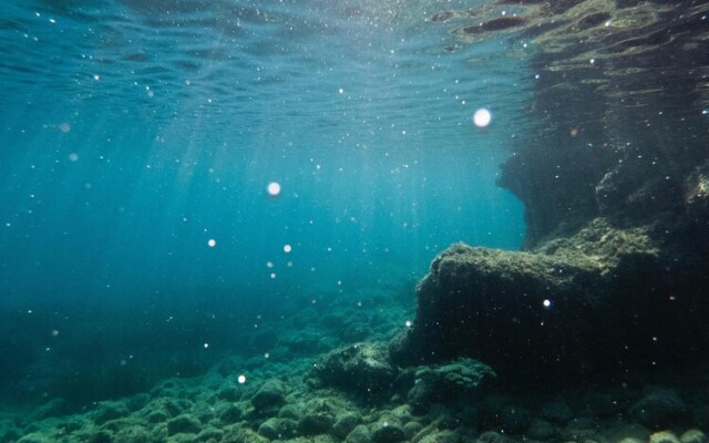 Room-villa ata Razanac - Apartment