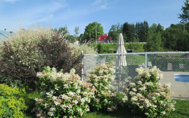 Condo Qc Mont Ste-Anne Au Scandinave