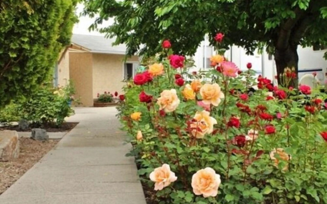 Maple Leaf Motel & RV Resort