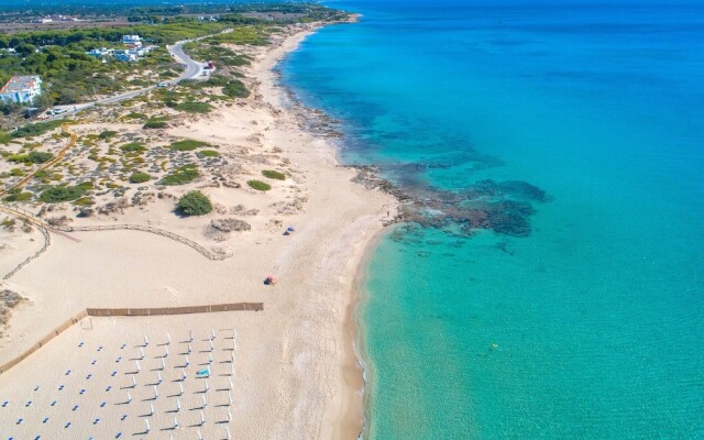 3351 Masseria Pepe - La Casina dei Limoni