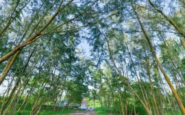 Ritu Beach Resort by Oyo Rooms