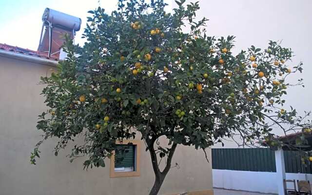 Casa Do Limoeiro
