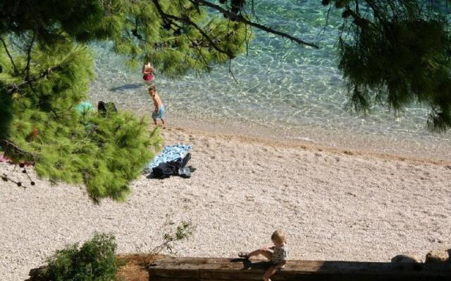 Apartments Niko - 50m from beach